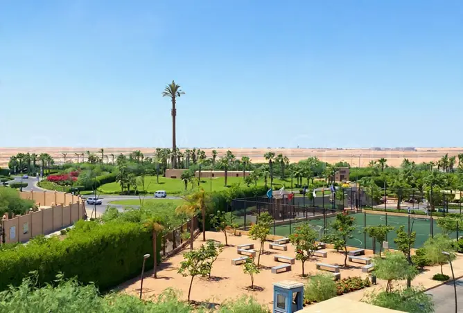 116495113 - صورة العقار 2
