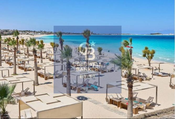 67733986 - صورة العقار 3