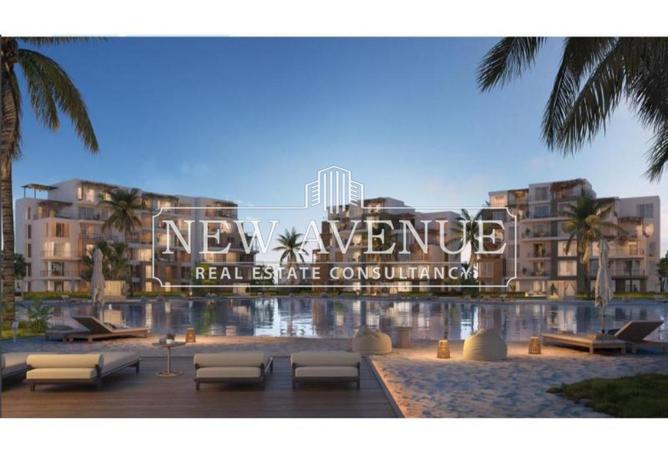 64635291 - صورة العقار 3