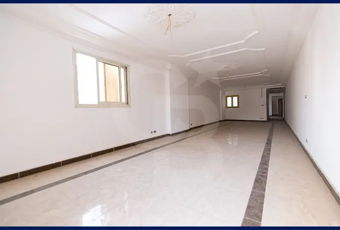 117536623 - Property Image 2