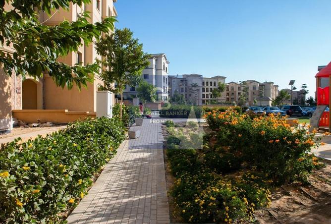 56002253 - صورة العقار 3