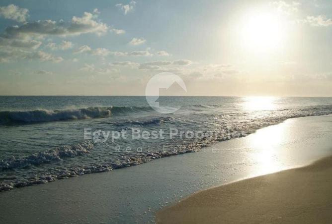 109359618 - صورة العقار 3