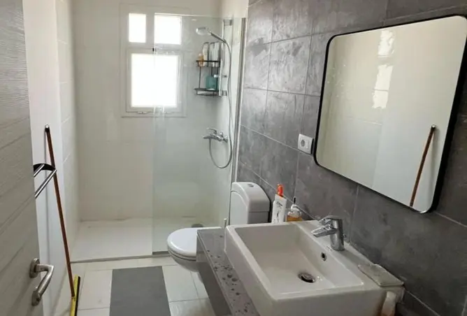 116497421 - Property Image 3
