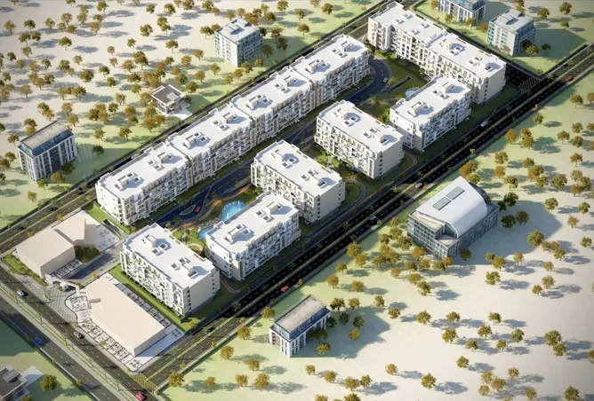 116226852 - Property Image 3