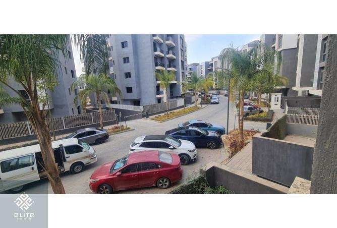 58498733 - Property Image 2