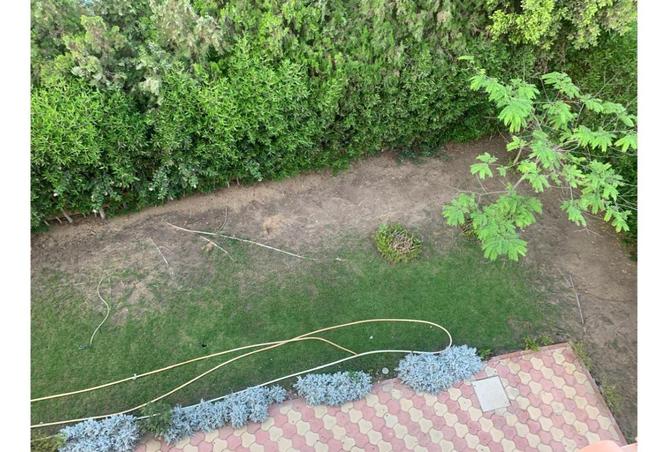 62399758 - صورة العقار 3