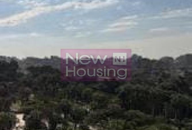 55992960 - Property Image 3