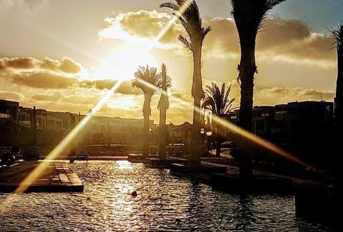 96857355 - صورة العقار 2