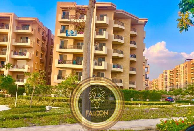 67222073 - Property Image 3