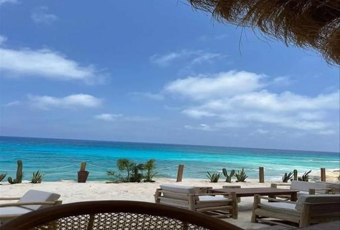 64902255 - صورة العقار 2