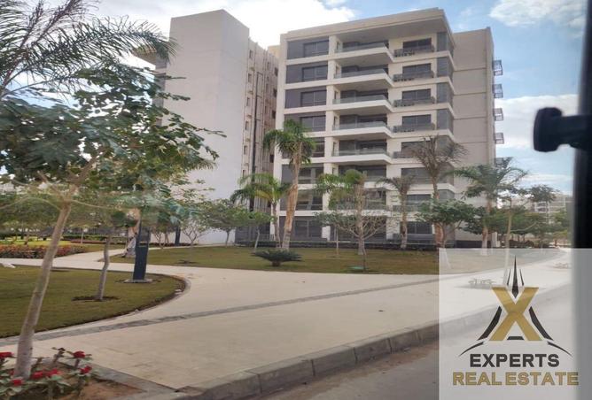 8561389 - Property Image 3