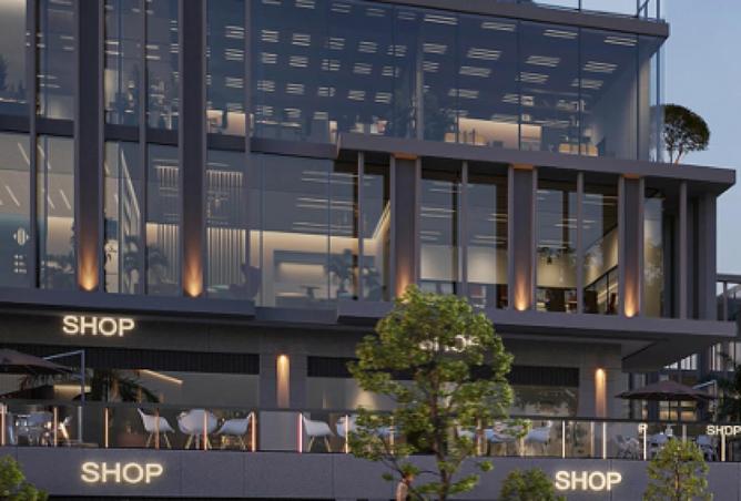 54761909 - Property Image 3