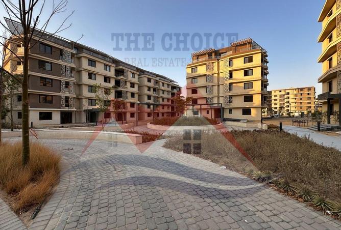 65155260 - Property Image 3