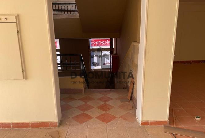 73493740 - Property Image 3