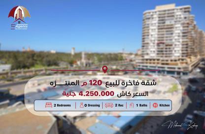 شقة - 2 غرف نوم - 1 حمام للبيع في المنتزة - حي ثان المنتزة - الاسكندرية شقة - 2 غرف نوم - 1 حمام للبيع في المنتزة - حي ثان المنتزة - الاسكندرية