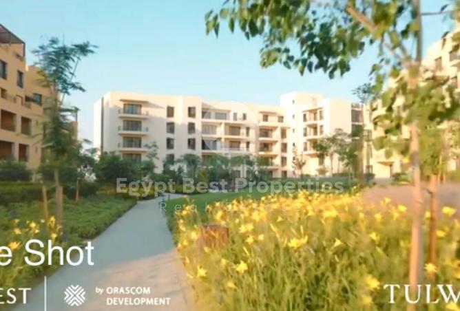 59748817 - صورة العقار 3