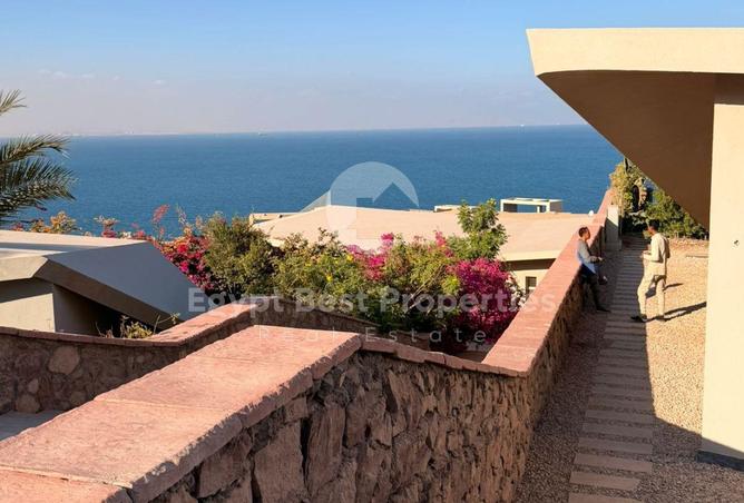 51170230 - صورة العقار 3