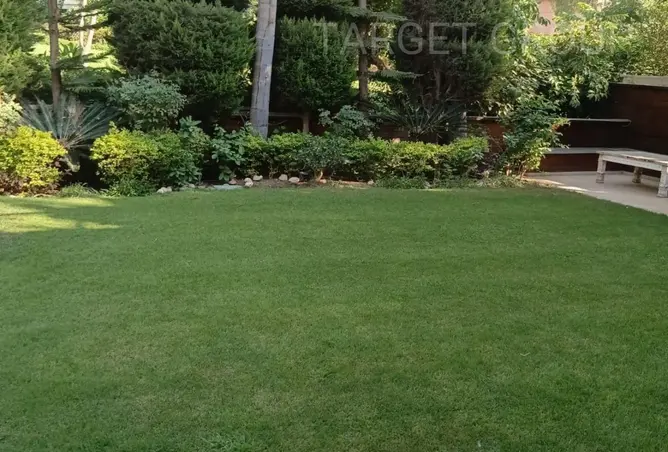111626758 - صورة العقار 2