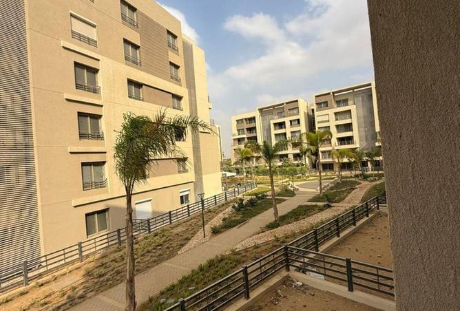 59248801 - Property Image 2