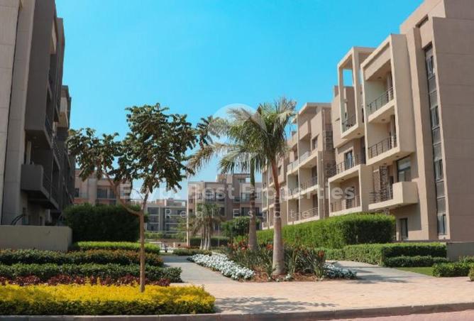 8658100 - صورة العقار 3