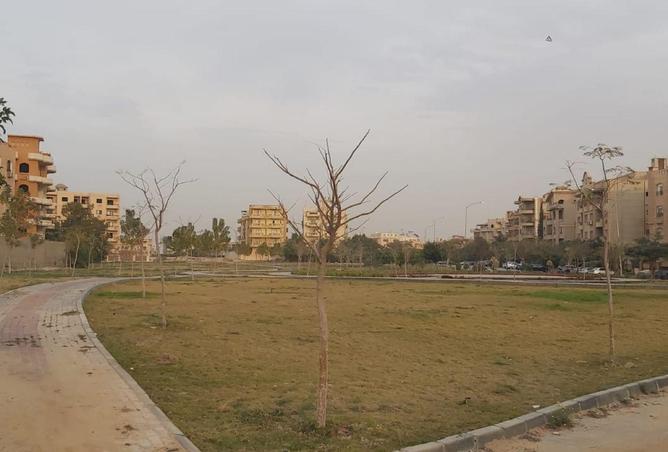 8597237 - Property Image 2