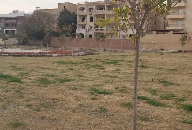 8597237 - Property Image 3