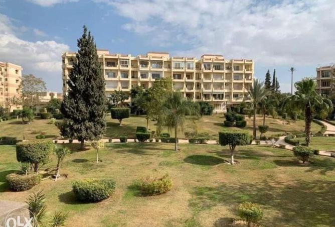 80789615 - صورة العقار 3