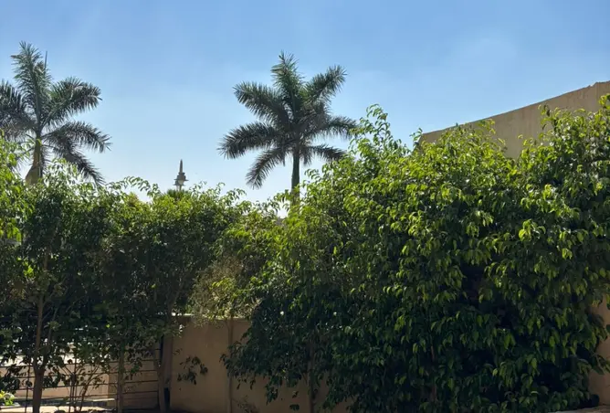 117283545 - صورة العقار 2