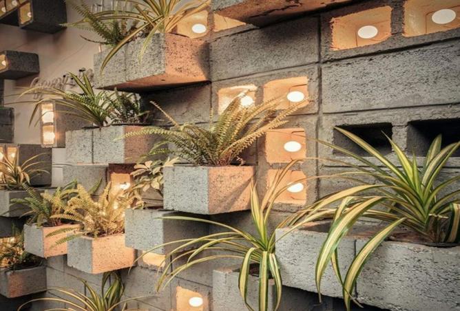 62650961 - صورة العقار 3