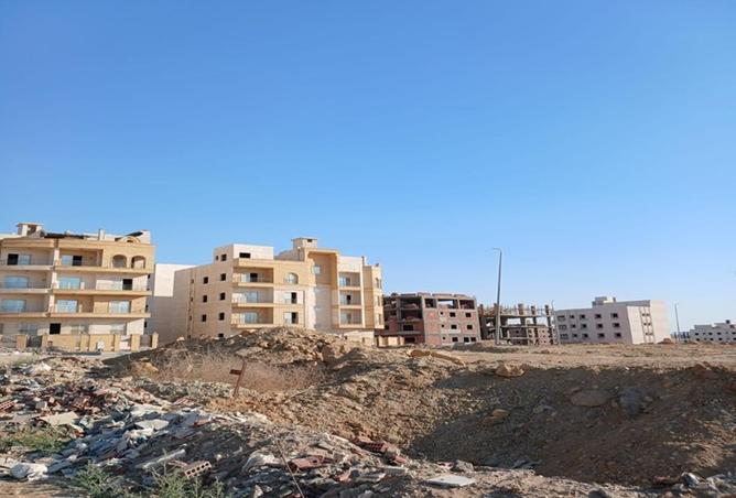 83674762 - Property Image 3