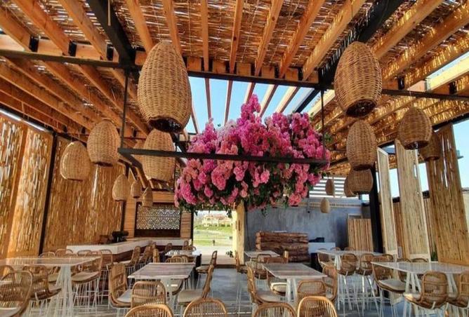 56501225 - Property Image 3