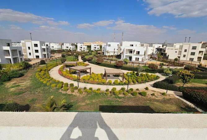 8715397 - صورة العقار 3