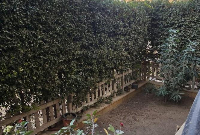 8676541 - Property Image 2