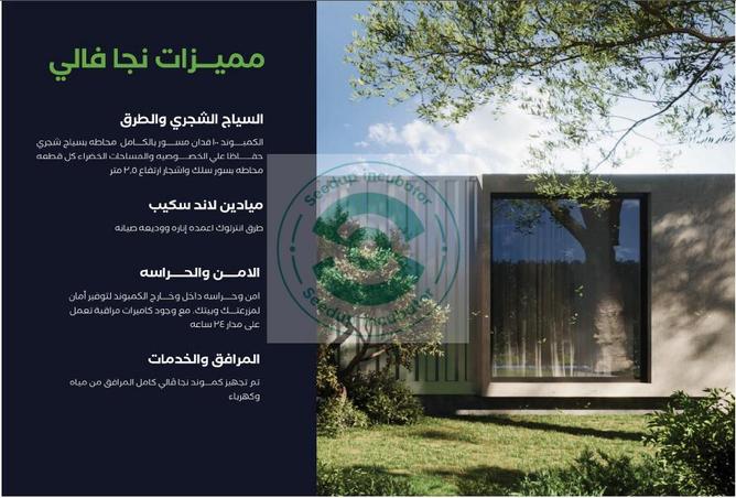 56987646 - صورة العقار 3