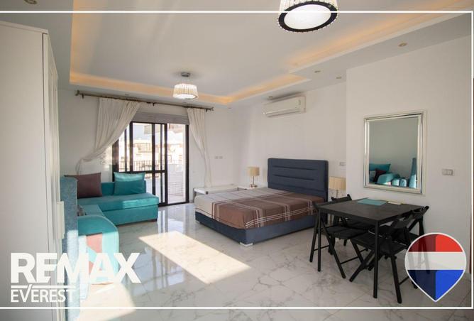 8553879 - Property Image 3