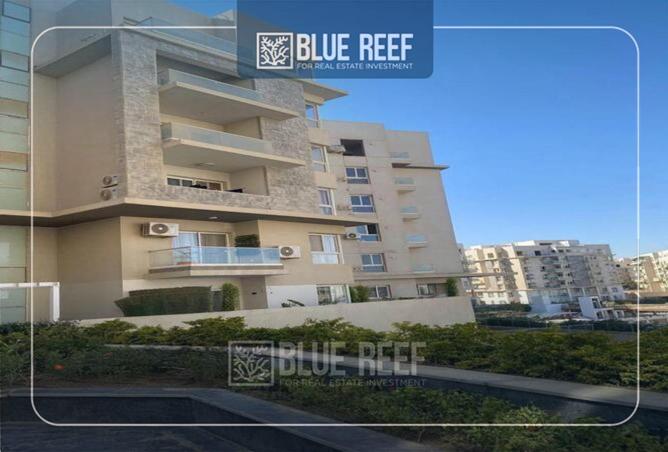 68787535 - Property Image 3