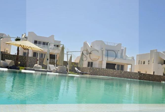 91013168 - الصورة الرئيسية للعقار