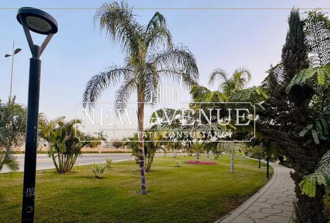 66683926 - صورة العقار 3