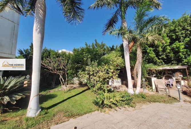 63383994 - صورة العقار 3