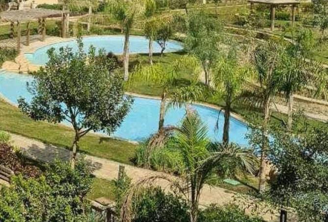 68534254 - Property Main Image