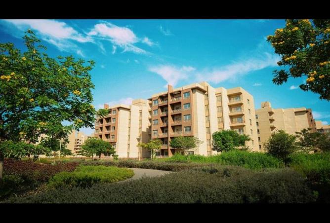 8675139 - صورة العقار 2