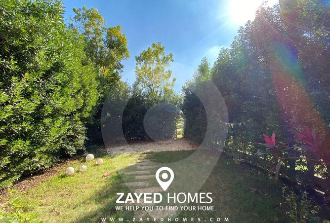 8658318 - صورة العقار 2