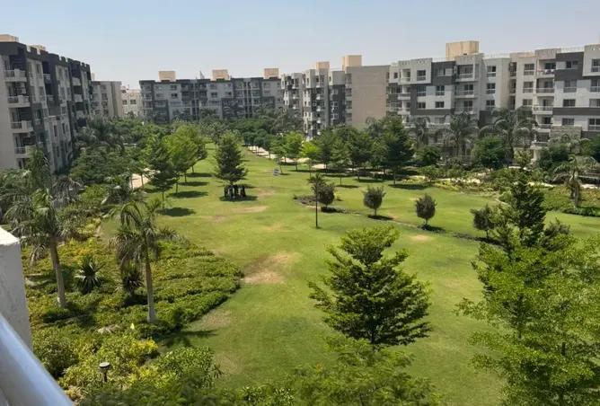 113265548 - صورة العقار 3