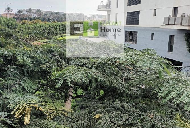 8693549 - صورة العقار 3