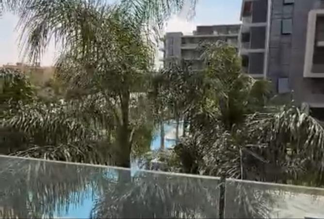 106578339 - Property Image 2