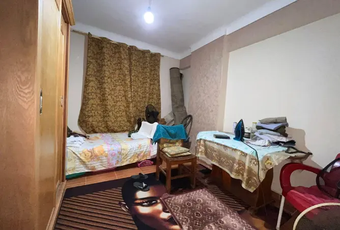 113528326 - Property Image 3