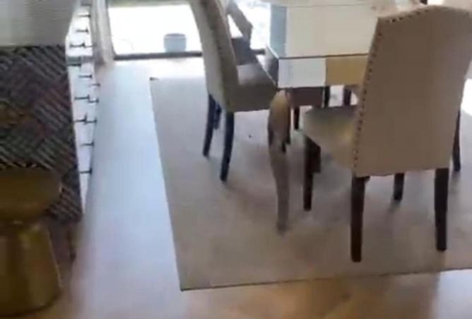 62403068 - Property Image 2