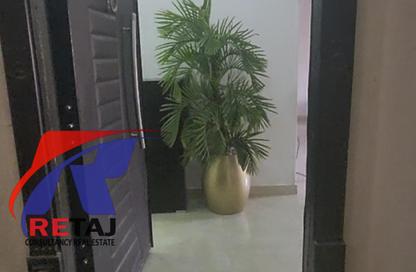 شقة - 3 غرف نوم - 3 حمامات للايجار في محور مصطفي كامل - التجمع الاول - مدينة القاهرة الجديدة - القاهرة شقة - 3 غرف نوم - 3 حمامات للايجار في محور مصطفي كامل - التجمع الاول - مدينة القاهرة الجديدة - القاهرة