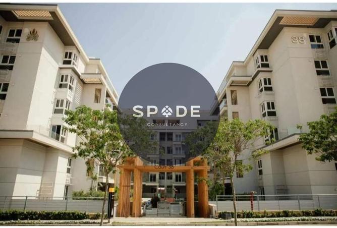 62399471 - Property Image 3