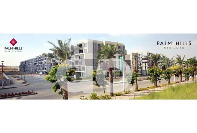 107964979 - Property Image 3